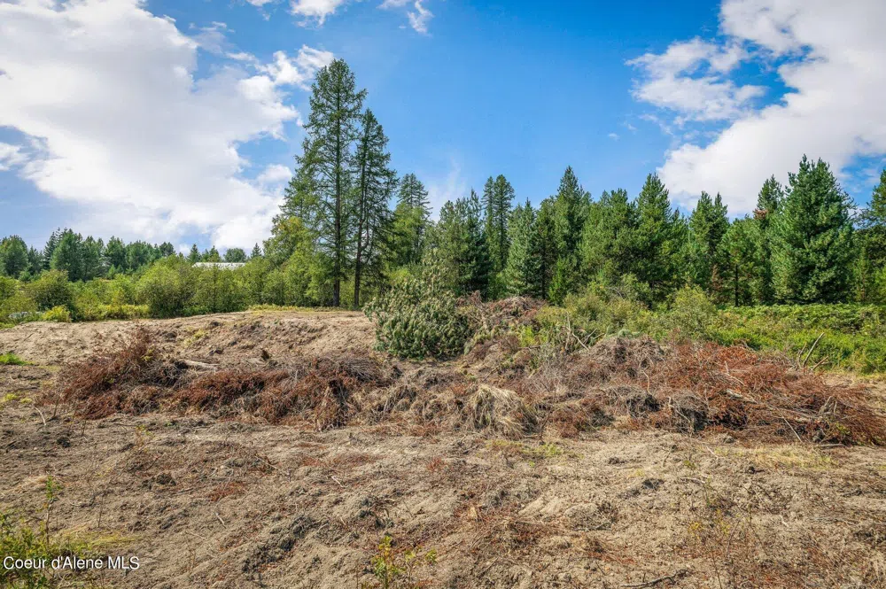 6A Kenny Lane Priest River, ID 83856