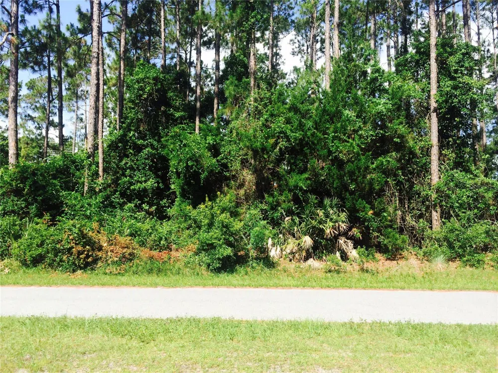 17 KAUFMAN PLACE Palm Coast, FL 32164