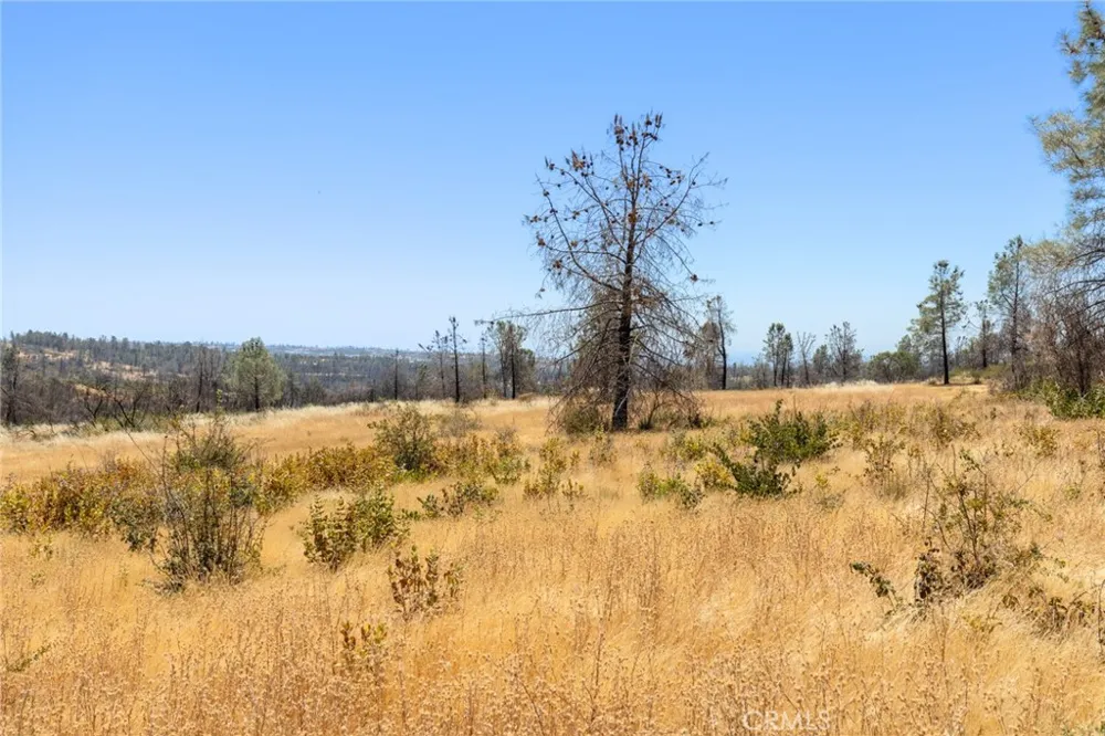 1 Cohasset Road Cohasset, CA 95973