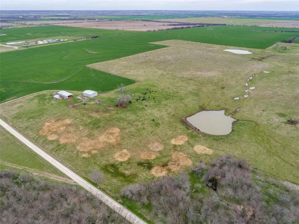Baker Road Pilot Point, TX 76271