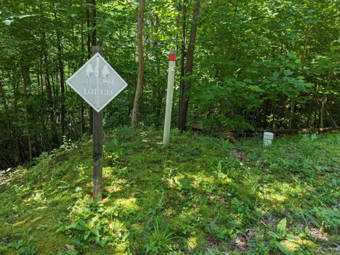 00 Anderson Creek Road