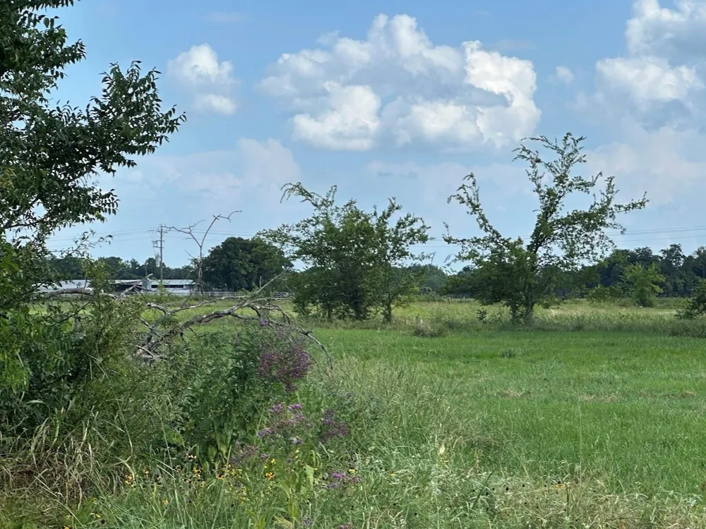 Lot 55 Red Fox Circle Lone Oak, TX 75453