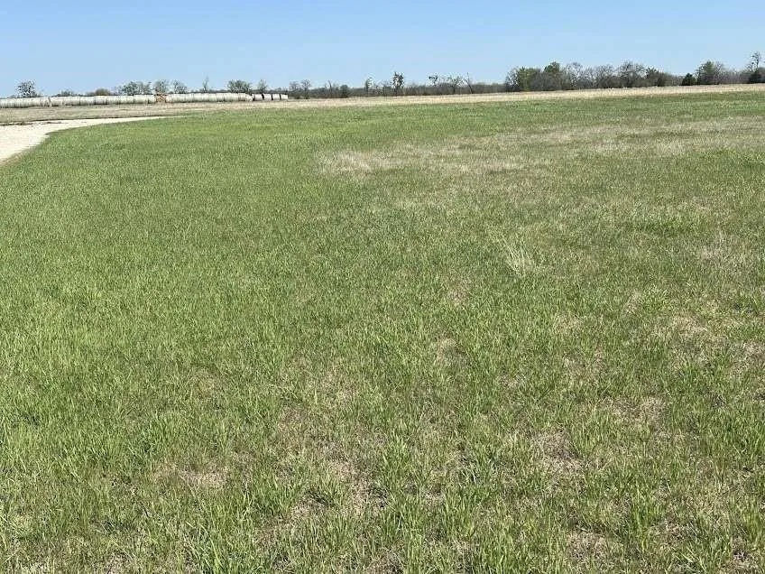 Lot 53 Lakeway Circle Lone Oak, TX 75453