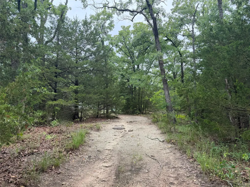Lots 782-783, 786-787 Faye Hawk Cove, TX 75474