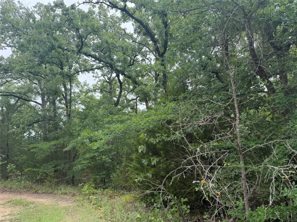 Lot 784-785  Faye Street Hawk Cove, TX 75474