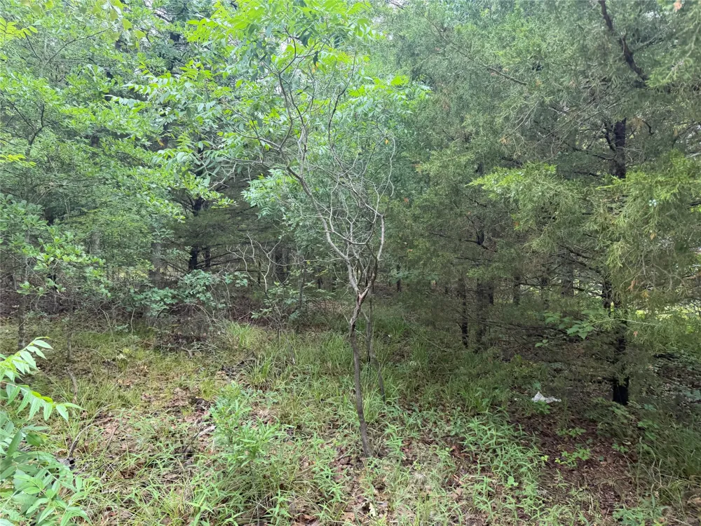 Lot 784-785  Faye Street Hawk Cove, TX 75474