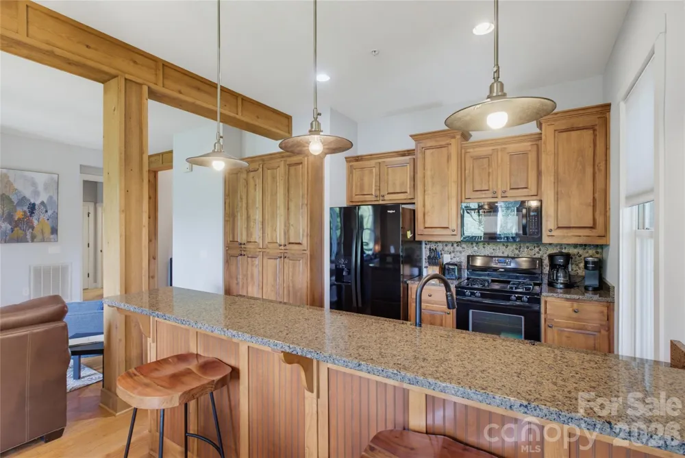 85 Southshore Drive #A1 Tuckasegee, NC 28783