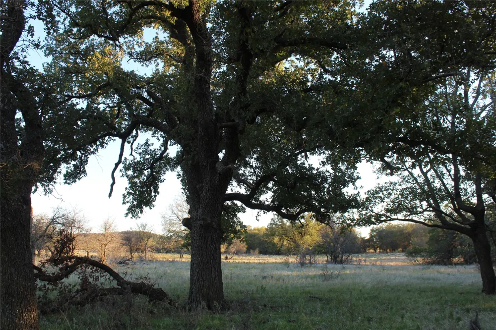 151 W Hwy 114 Jermyn, TX 76459