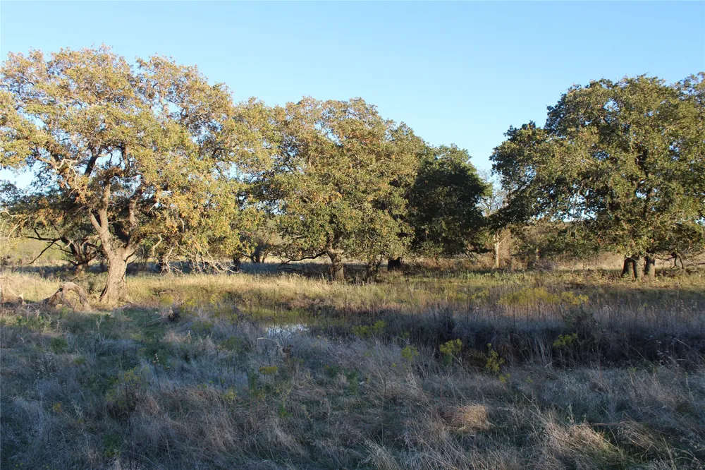 151 W Hwy 114 Jermyn, TX 76459