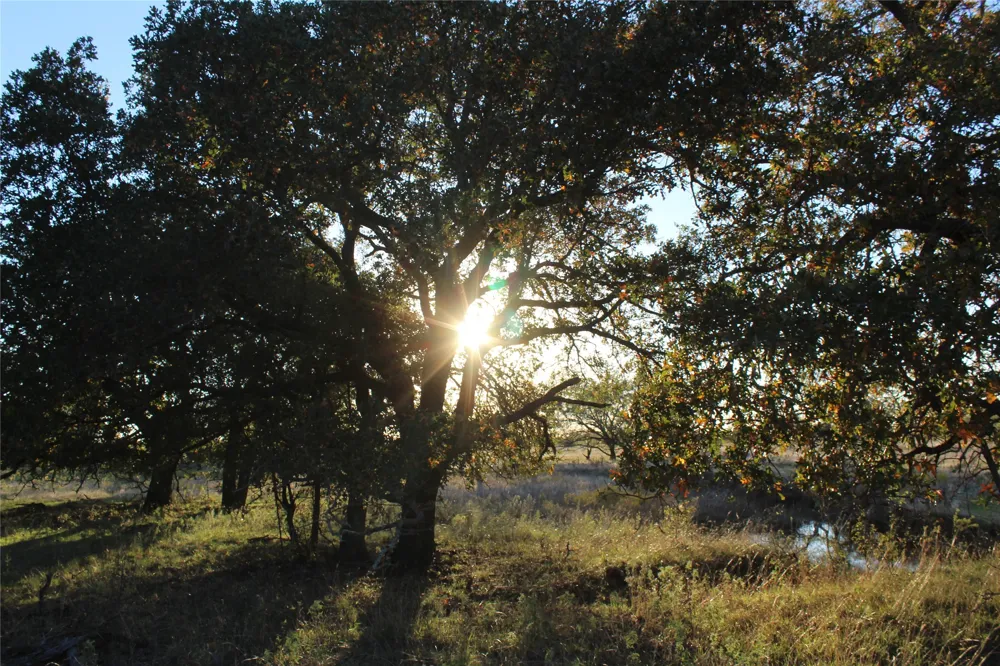 151 W Hwy 114 Jermyn, TX 76459