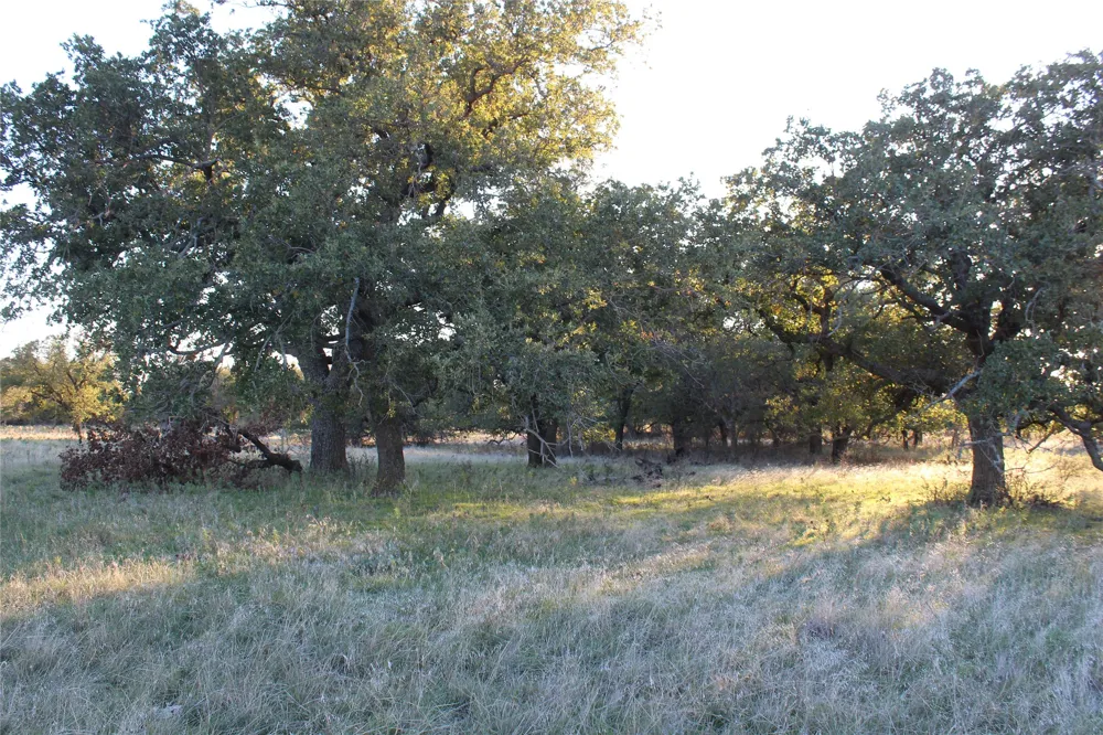 151 W Hwy 114 Jermyn, TX 76459