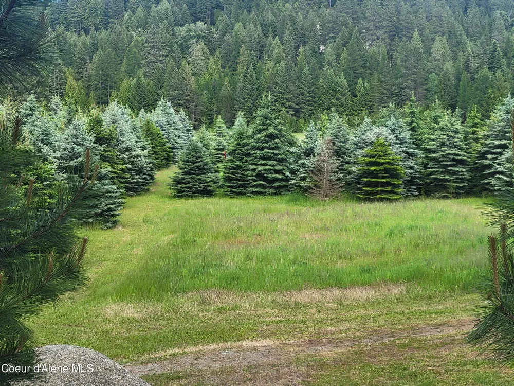 6337 McCall Street Bonners Ferry, ID 83805