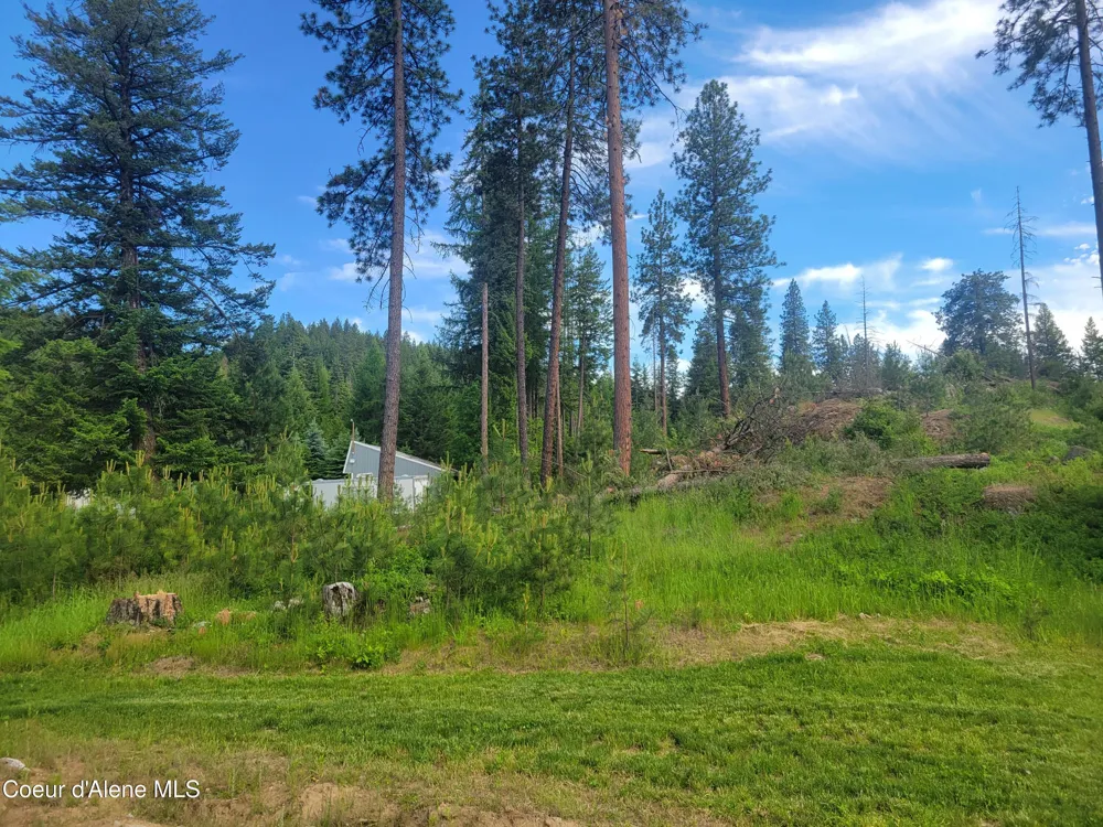 6337 McCall Street Bonners Ferry, ID 83805