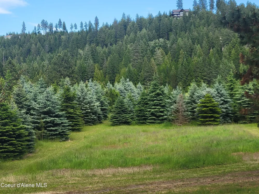 6337 McCall Street Bonners Ferry, ID 83805