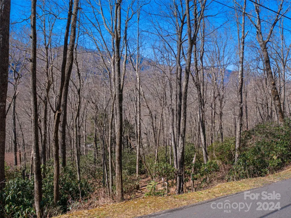 000 Big Ridge Road #62 & 63 Burnsville, NC 28714