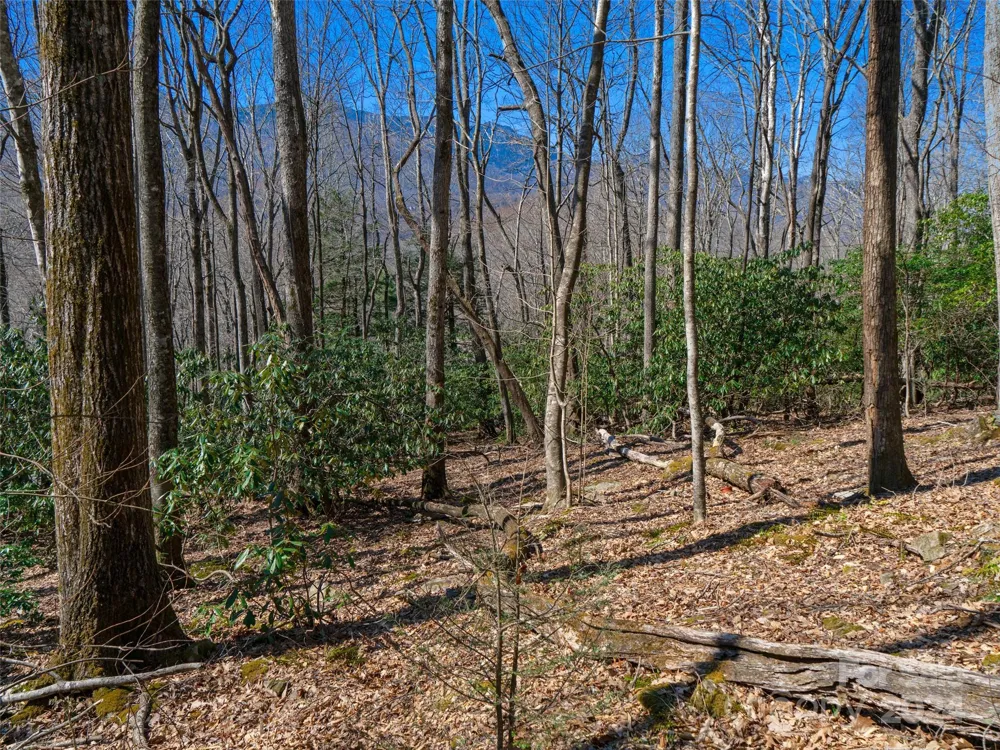 000 Big Ridge Road #62 & 63 Burnsville, NC 28714
