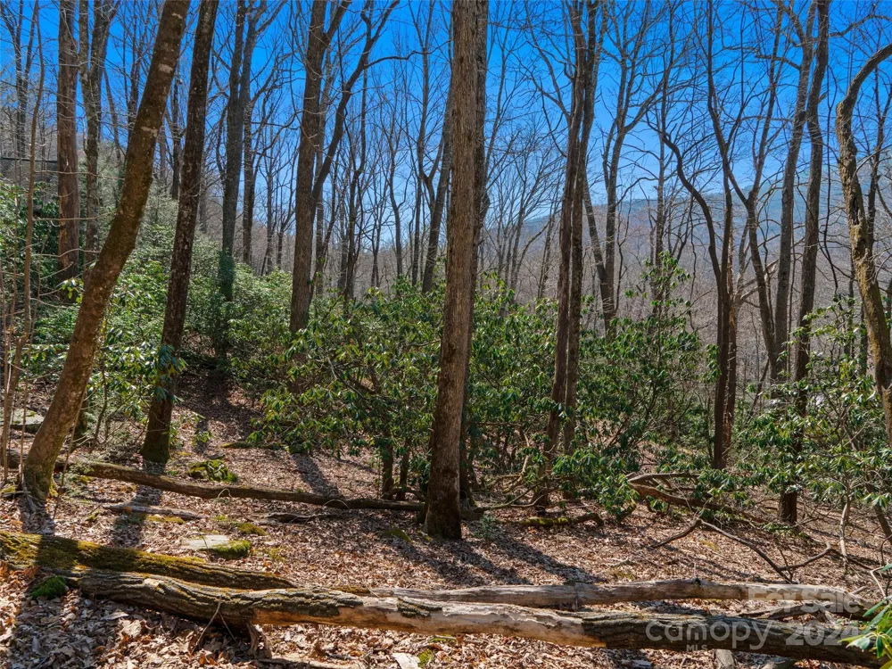 000 Big Ridge Road #62 & 63 Burnsville, NC 28714