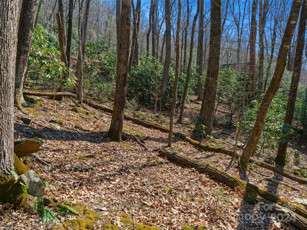 000 Big Ridge Road #62 & 63 Burnsville, NC 28714