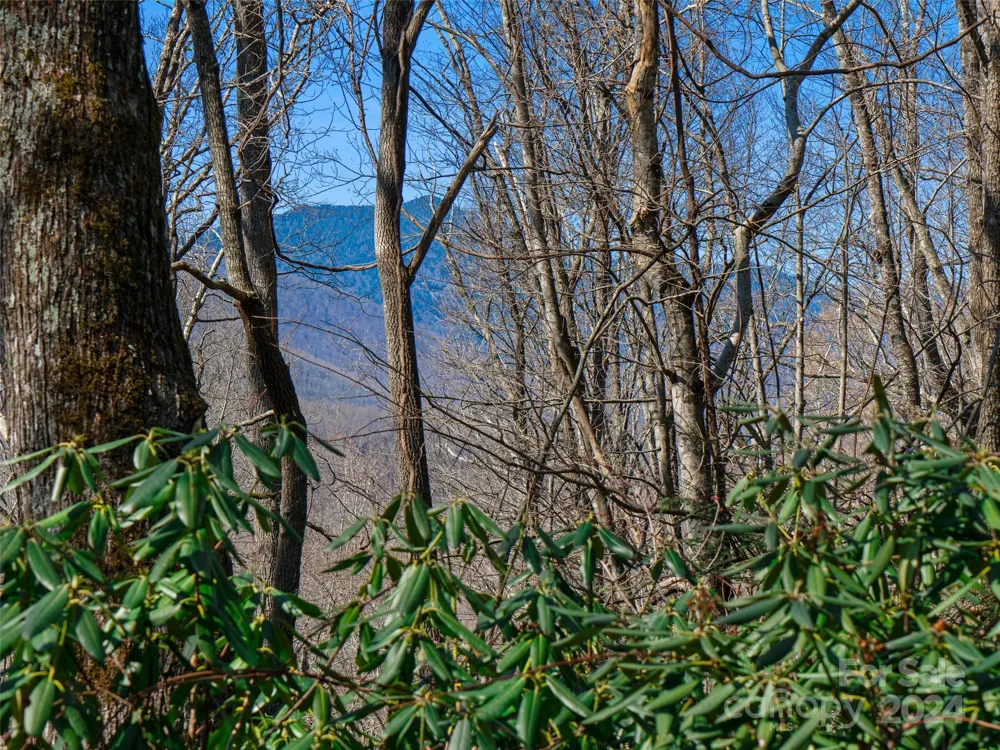000 Big Ridge Road #62 & 63 Burnsville, NC 28714