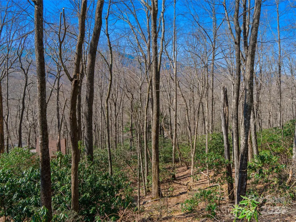 000 Big Ridge Road #62 & 63 Burnsville, NC 28714