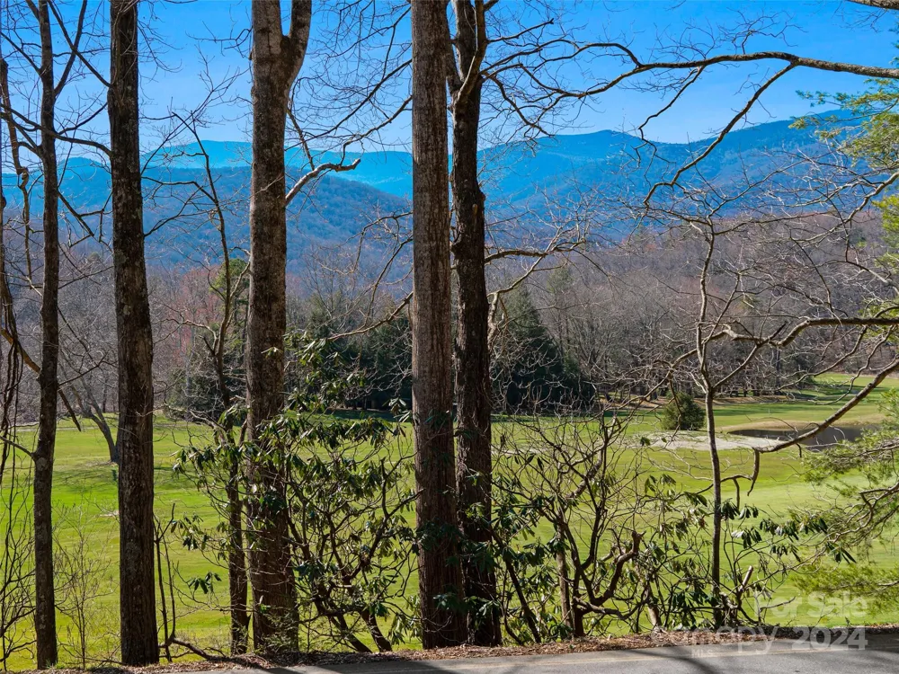 000 Big Ridge Road #62 & 63 Burnsville, NC 28714