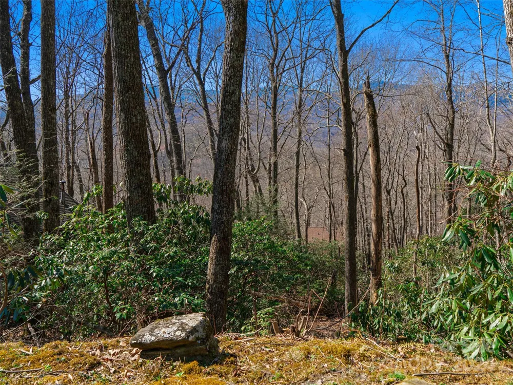 000 Big Ridge Road #62 & 63 Burnsville, NC 28714