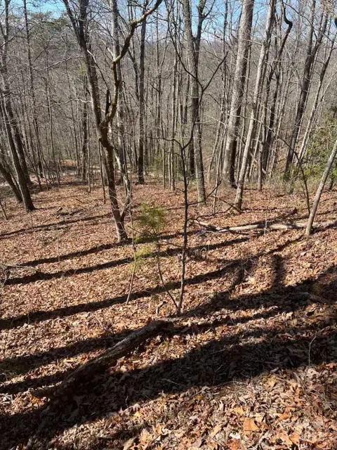 00 Timberland Trail