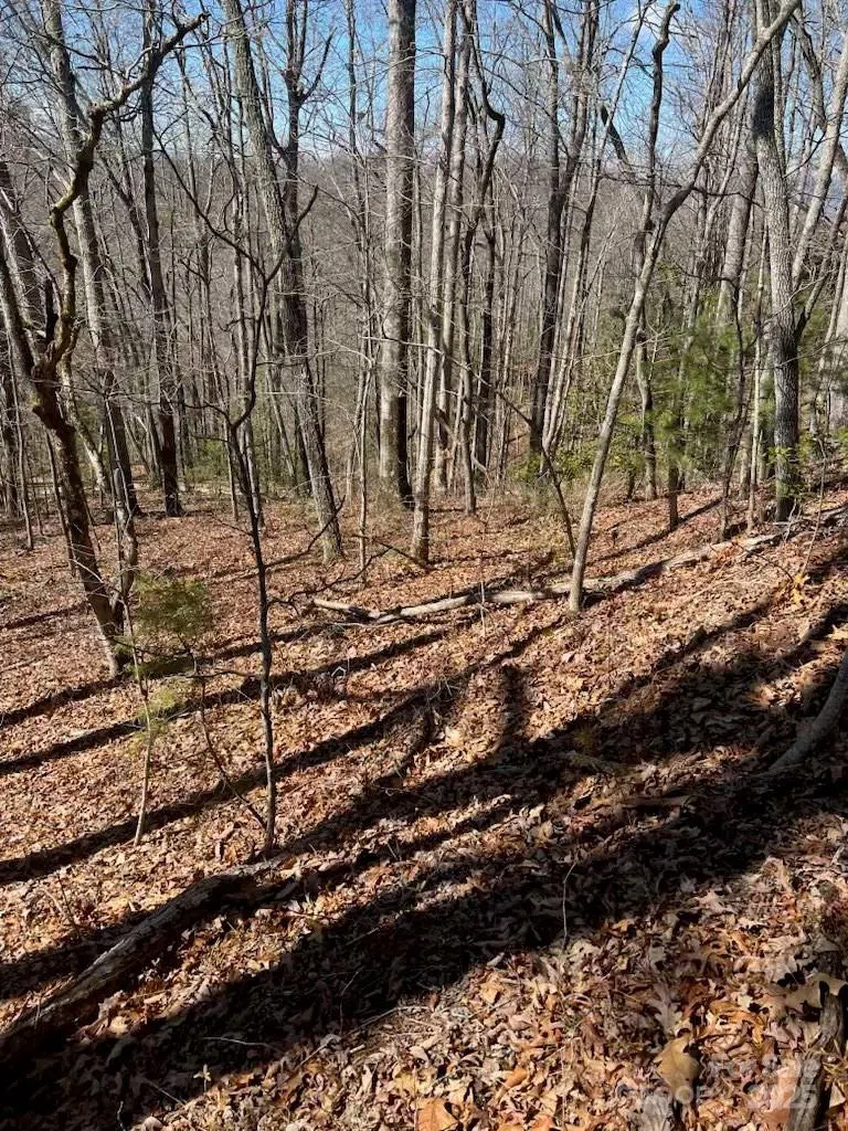 00 Timberland Trail Franklin, NC 28734