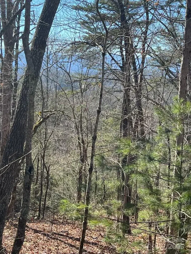 00 Timberland Trail Franklin, NC 28734