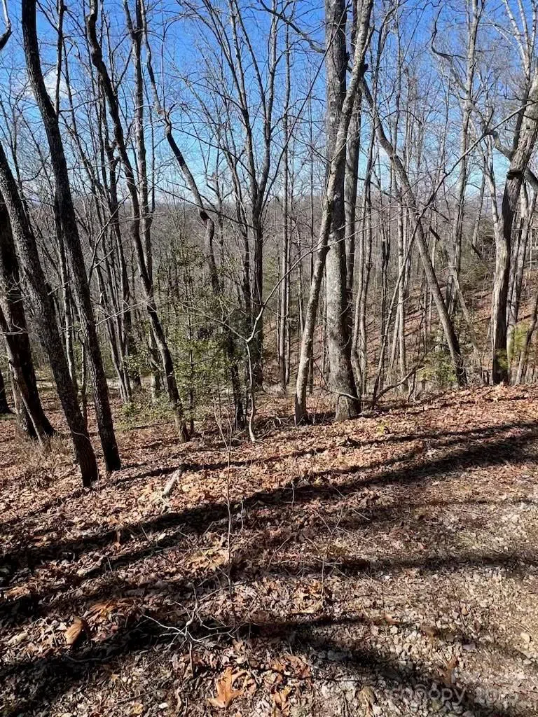 00 Timberland Trail Franklin, NC 28734