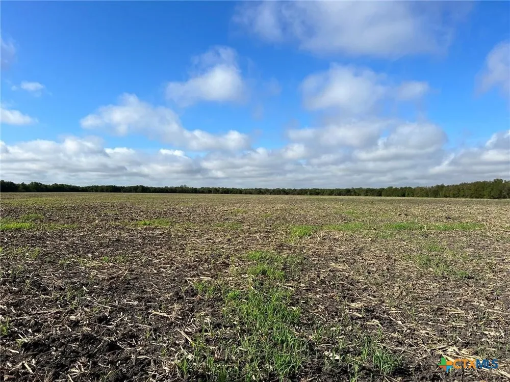 CR 117 Rogers, TX 76569