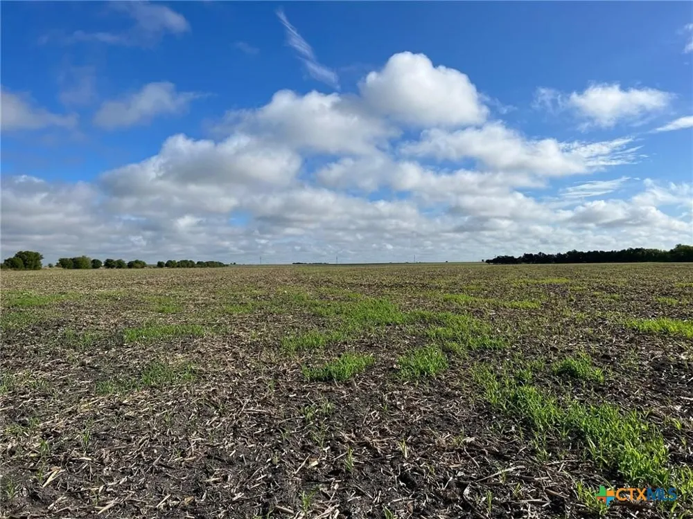 CR 117 Rogers, TX 76569