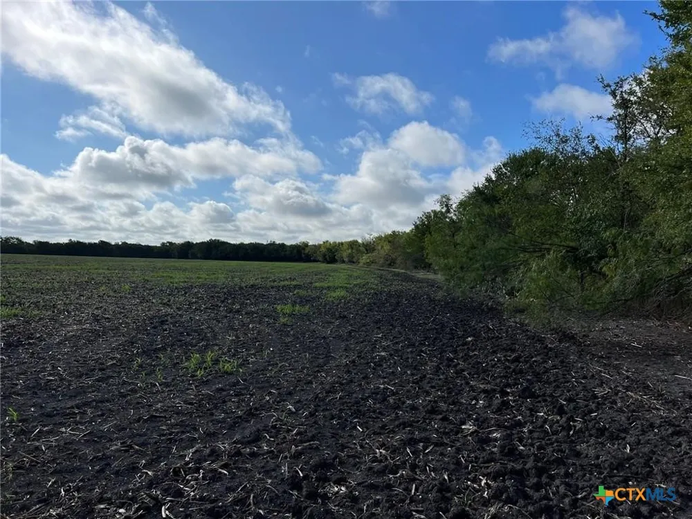 CR 117 Rogers, TX 76569