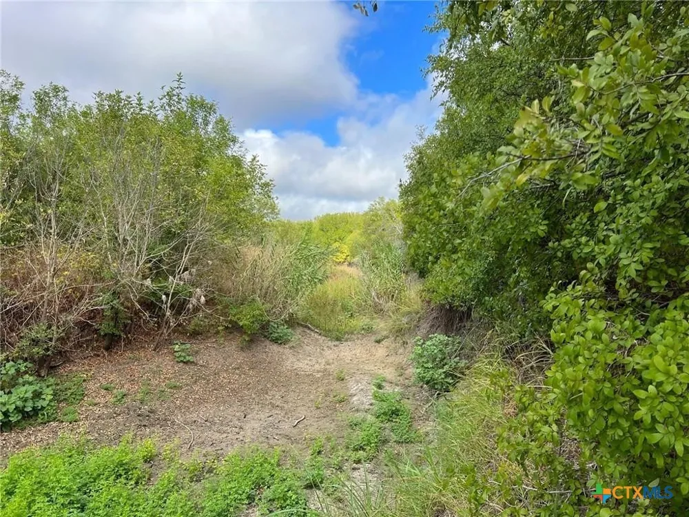 CR 117 Rogers, TX 76569