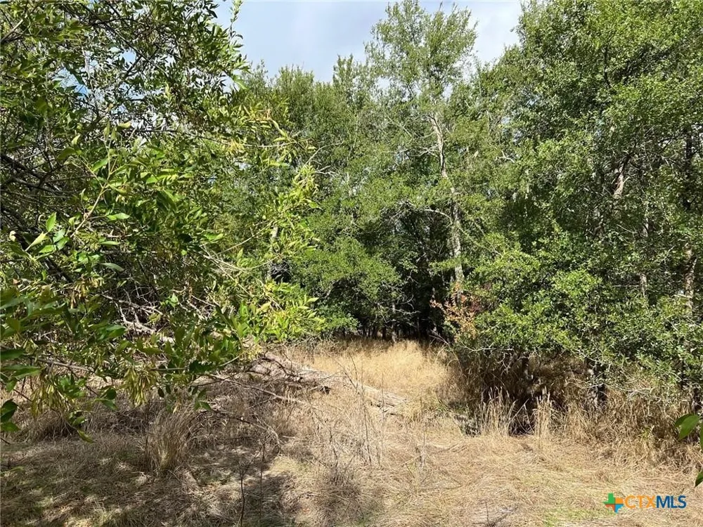 CR 117 Rogers, TX 76569