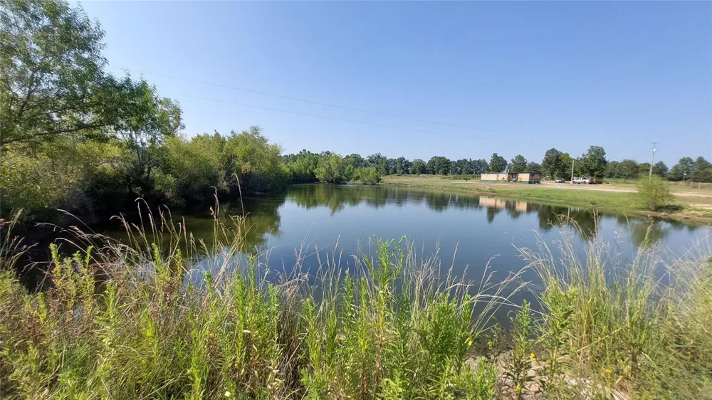 92 Cr 4171 Maud, TX 75567