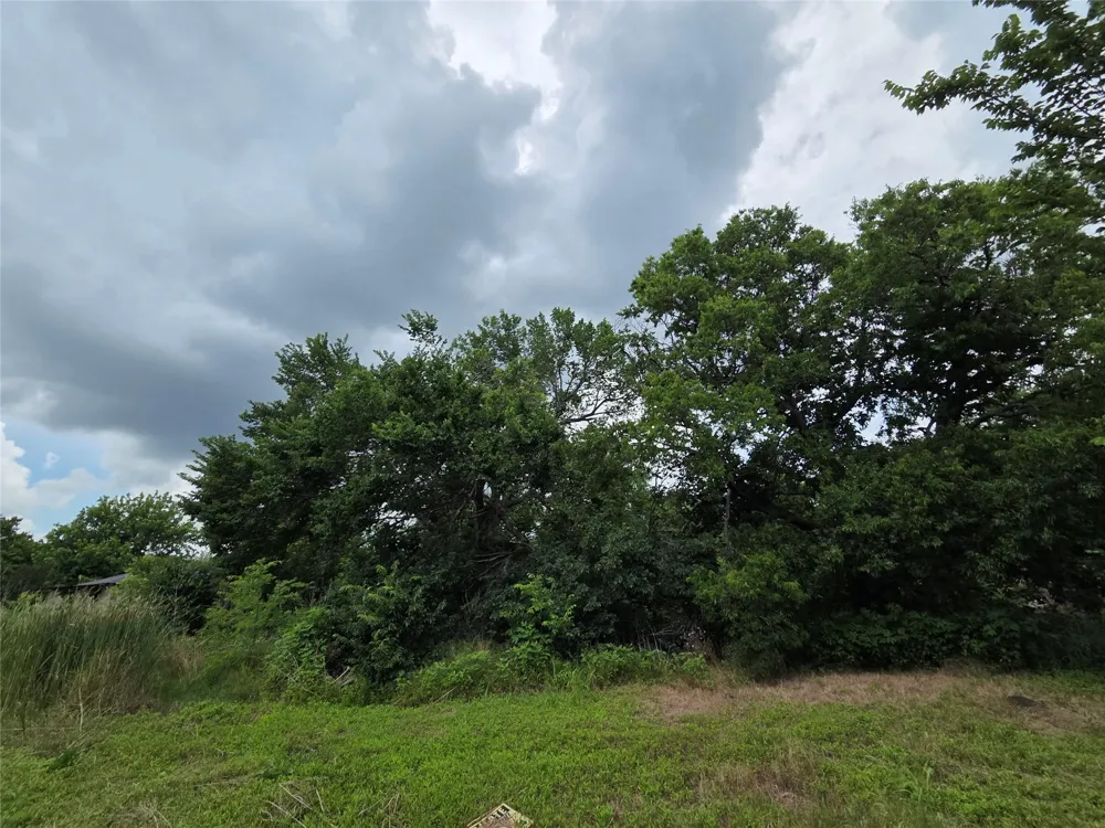 114 E Cedar Street Whitewright, TX 75491