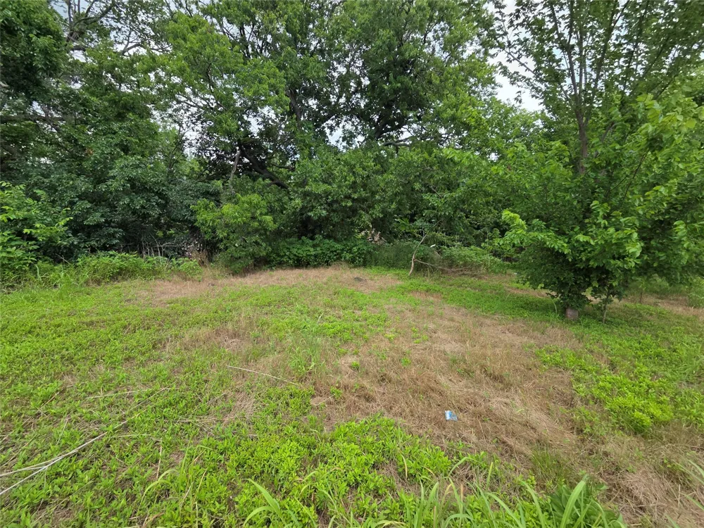 114 E Cedar Street Whitewright, TX 75491