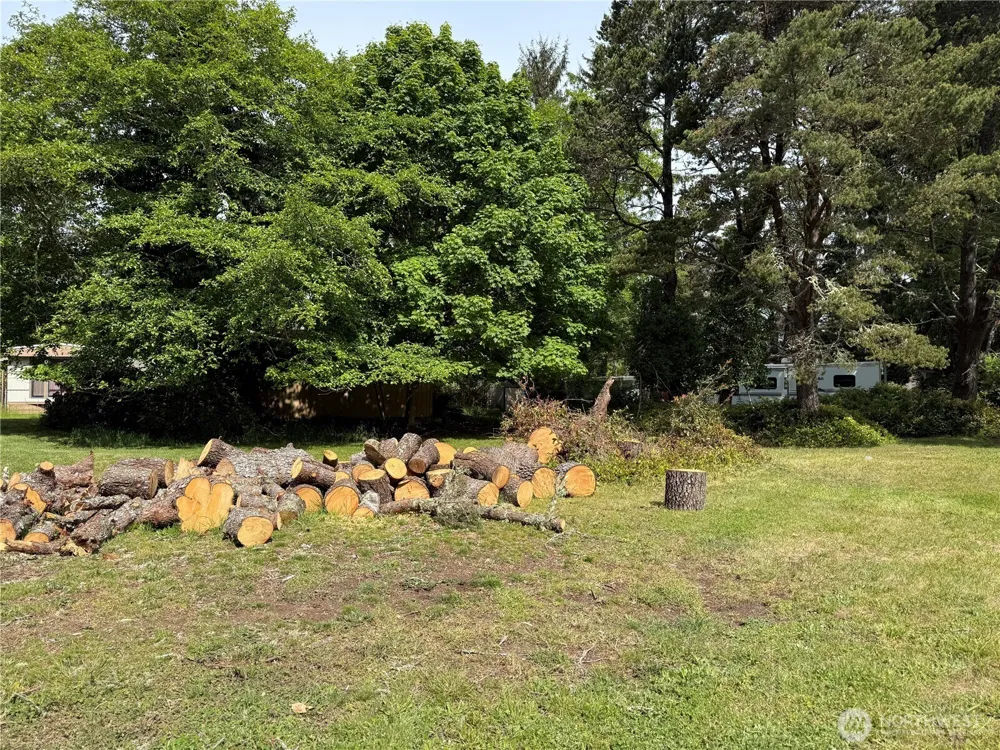 1305 322nd Place Ocean Park, WA 98640