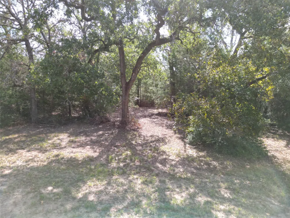 4 Angle Road Smithville, TX 78957