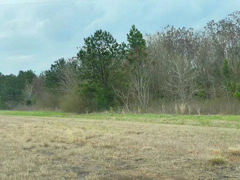 Lumpkin Bypass Highway 0027