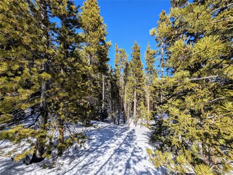 Lot 234 Alice Road
