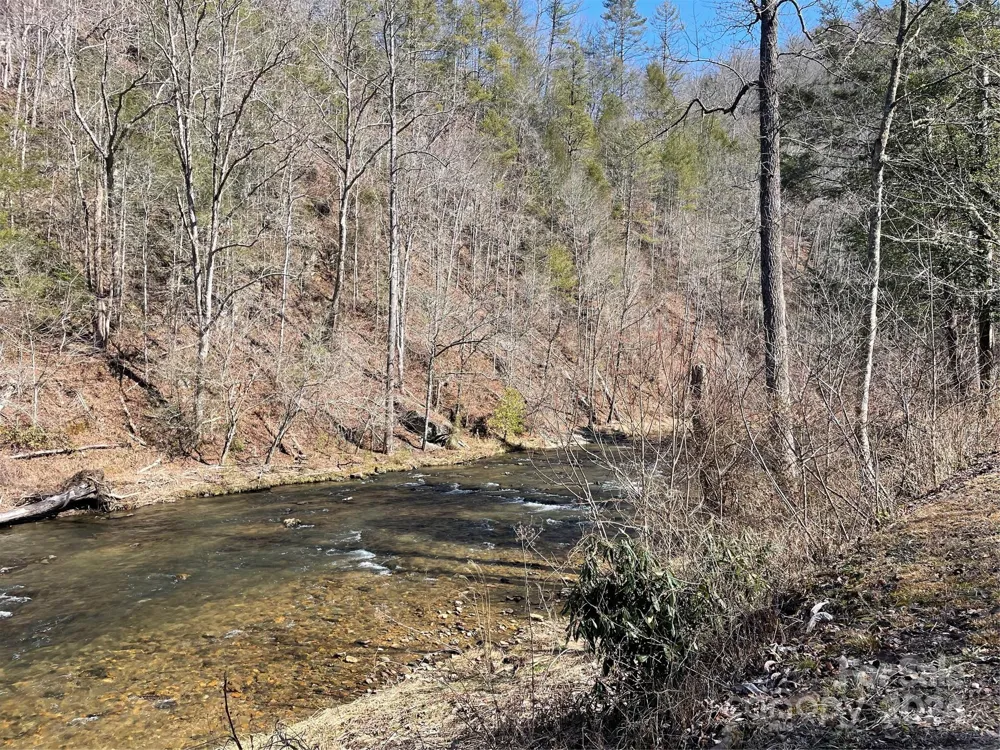 000 Bear River Lodge Trail #77 Marshall, NC 28753
