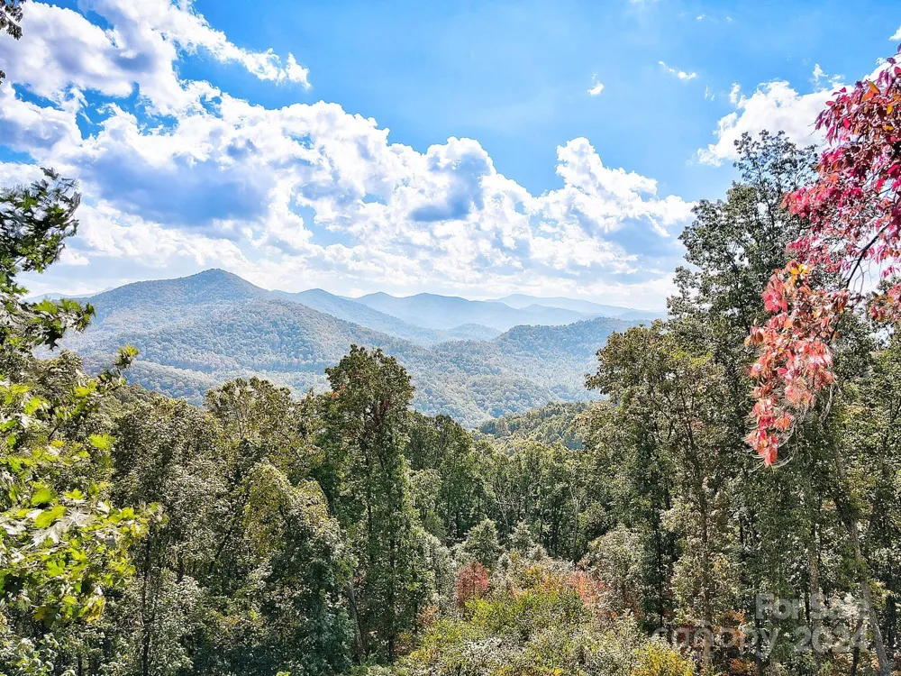 000 High Rock View Drive #32 Canton, NC 28716