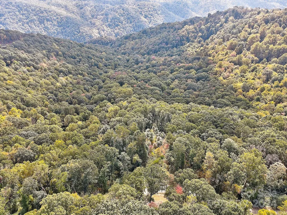 000 High Rock View Drive #32 Canton, NC 28716