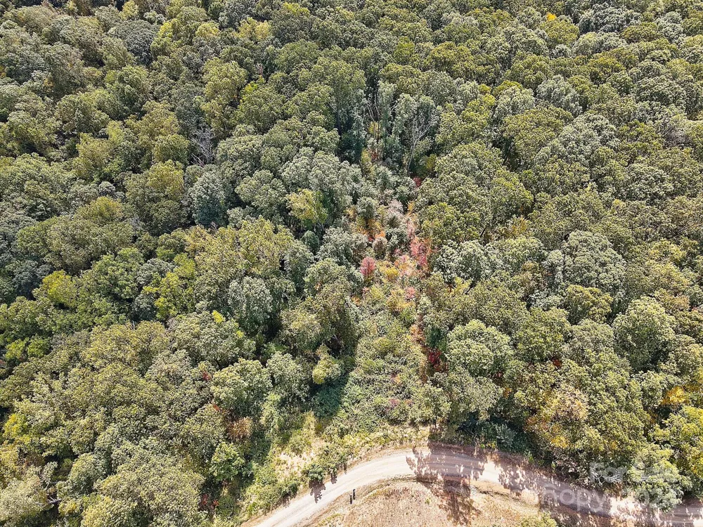 000 High Rock View Drive #32 Canton, NC 28716