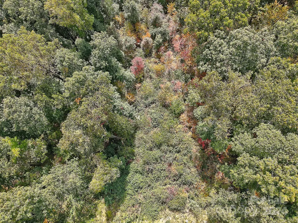 000 High Rock View Drive #32 Canton, NC 28716