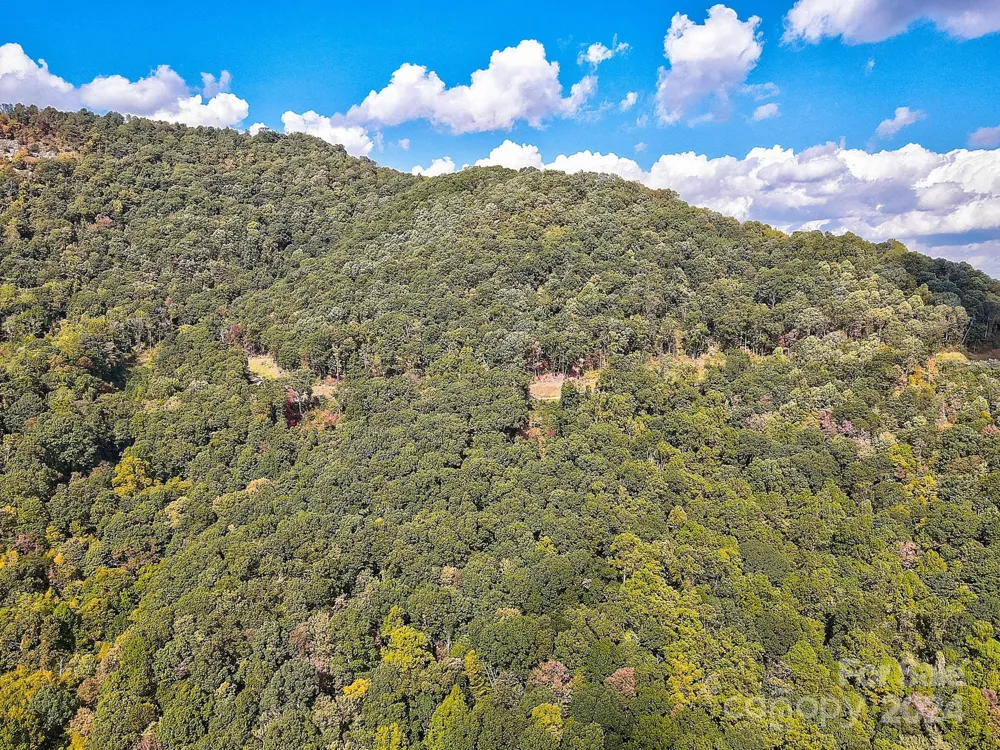 000 High Rock View Drive #32 Canton, NC 28716