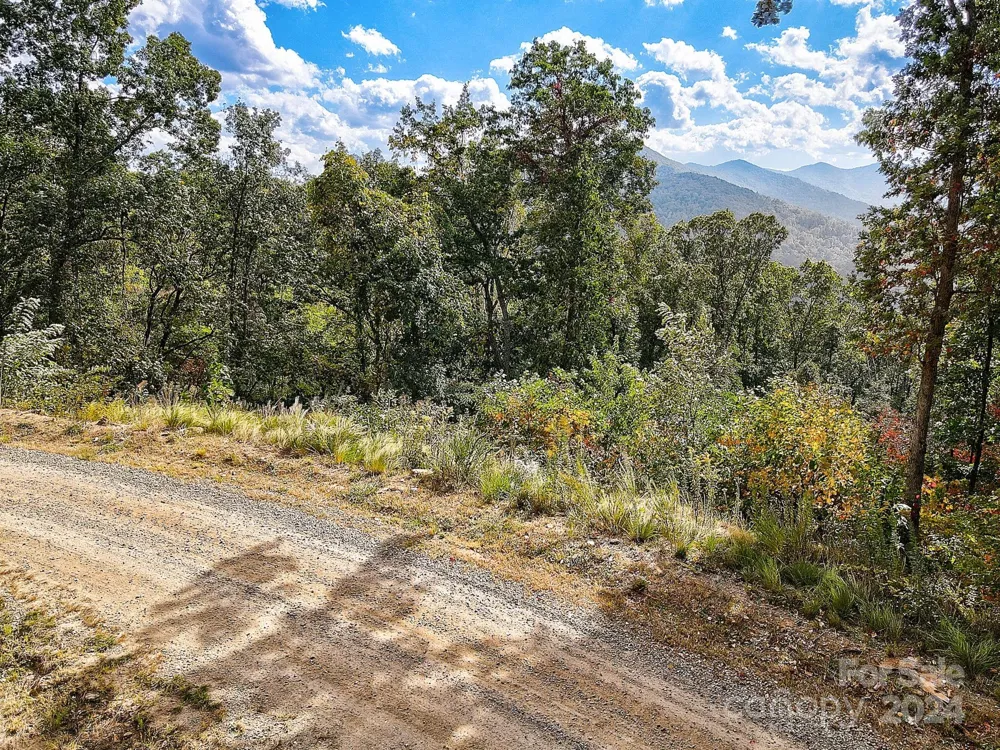 000 High Rock View Drive #32 Canton, NC 28716
