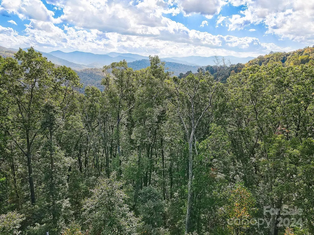 000 High Rock View Drive #32 Canton, NC 28716